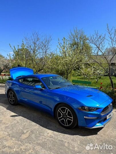 Ford Mustang 2.3 AT, 2021, 28 000 км