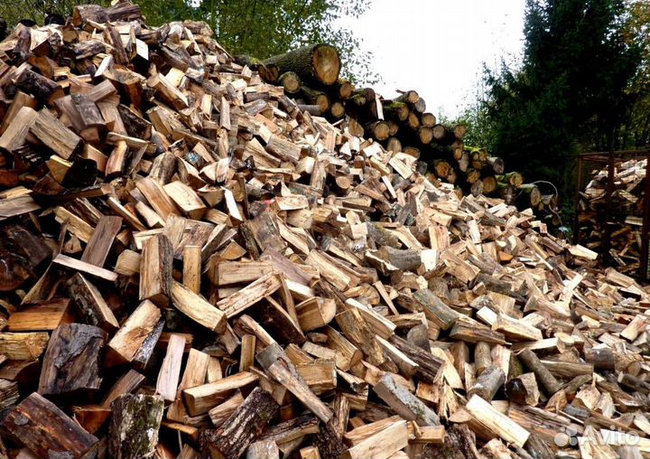 Дрова с Выборга