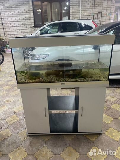 Аквариум juwel RIO 180