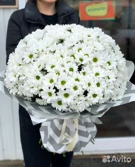 Цветы Хризантемы букет