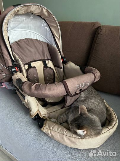 Коляска verdi zippy 3 в 1