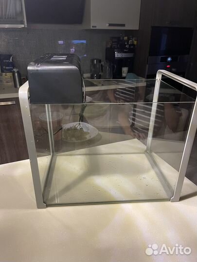 Террариум для сухопутной черепахи