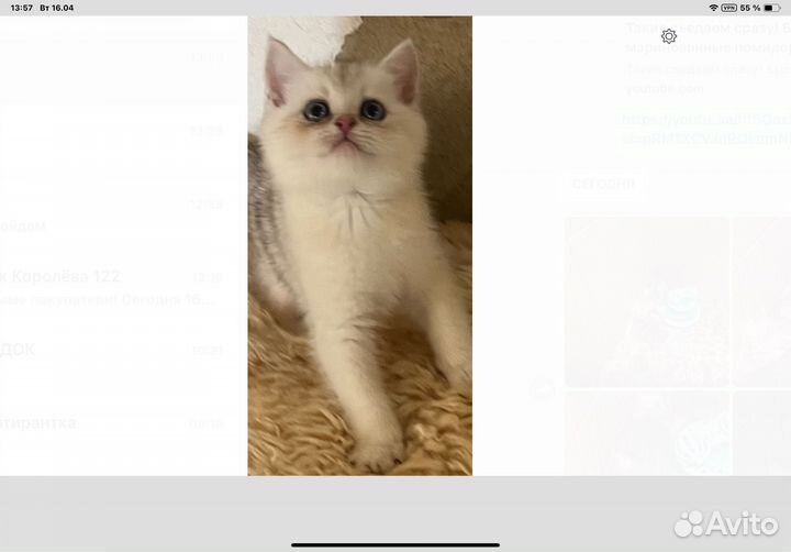 Предлогается к продаже