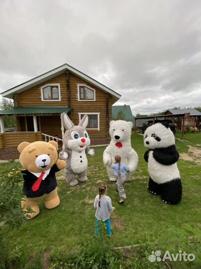 Аниматор на праздник