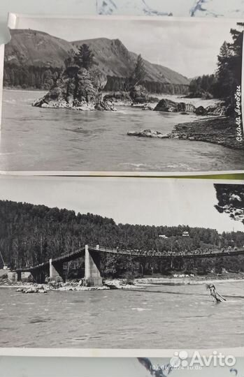 Фотографии