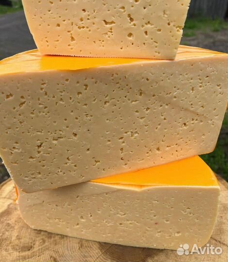 Сыры оптом и в розницу