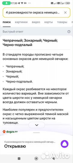 Немецкая овчарка
