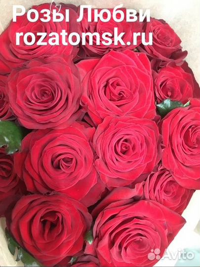 Свежие розы 50 см