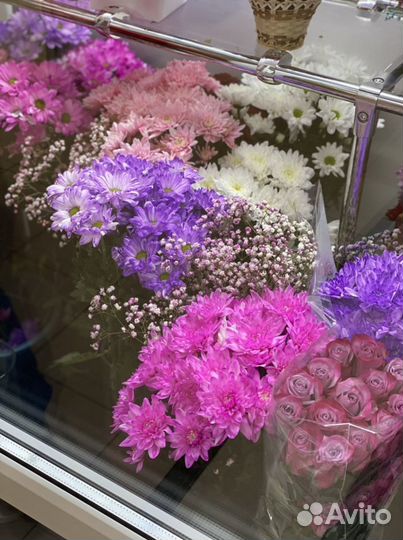 Цветы купить