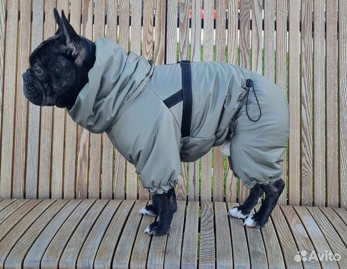 Зимний комбинезон для собак средних пород