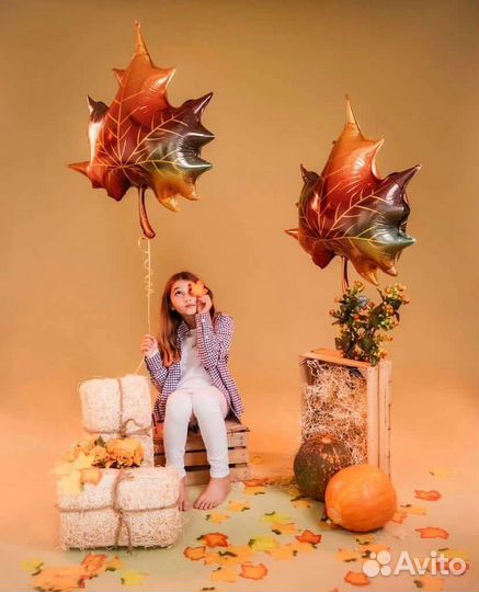 Фотозона на 1 сентября