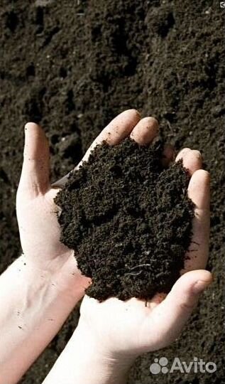 Чернозём, грунт, торфосмесь, перегнной с доставкой