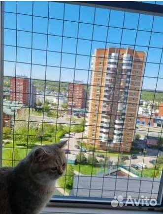 Решетка антикошка