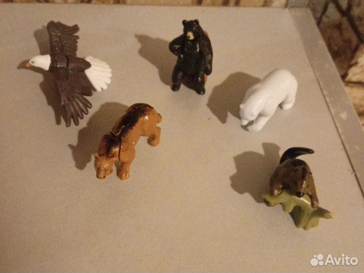 Для Светланы