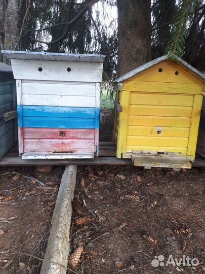 Продаются пчелиные улья бу