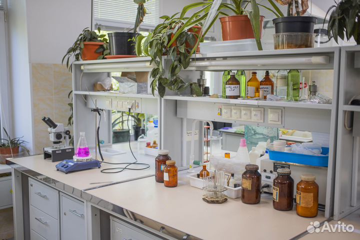 Консультация химика-технолога