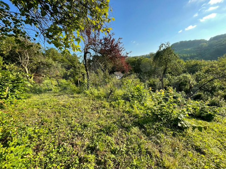 Участок 4,3 сот. (ИЖС)