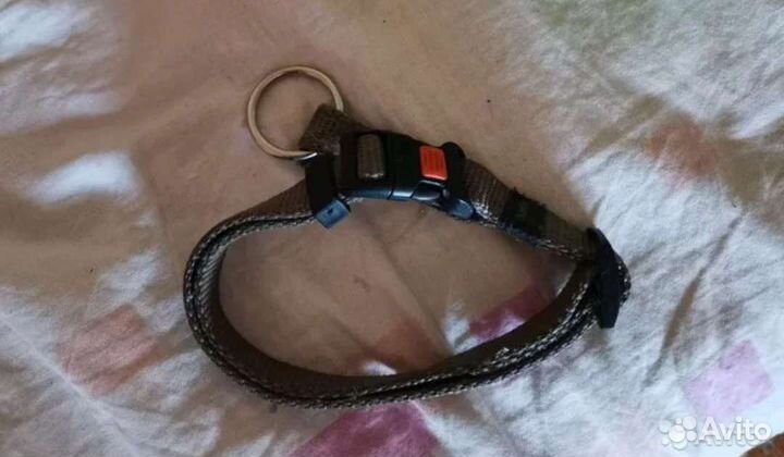 Одежда для собак