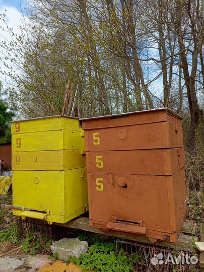 Ульи для пчел