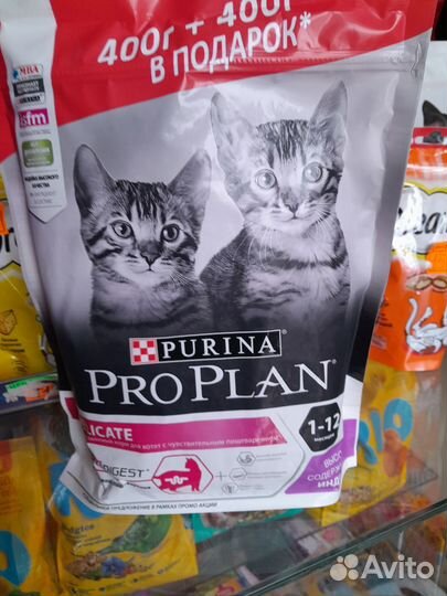 Сухой корм для кошек пурина