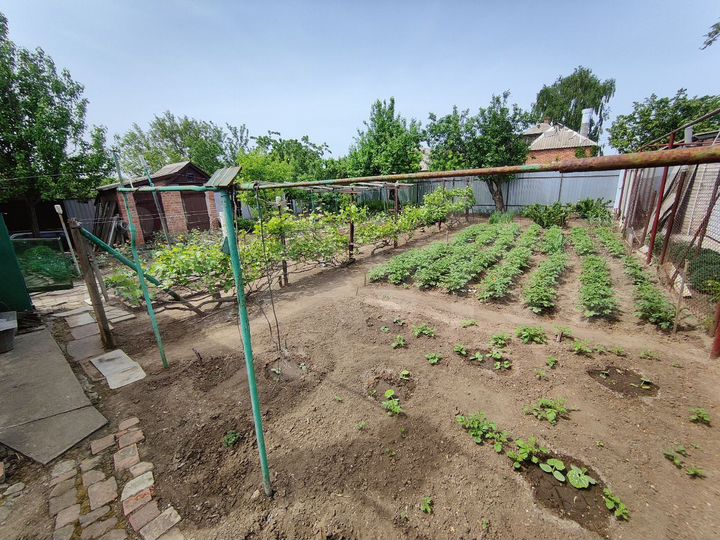 Дом 54 м² на участке 5 сот.