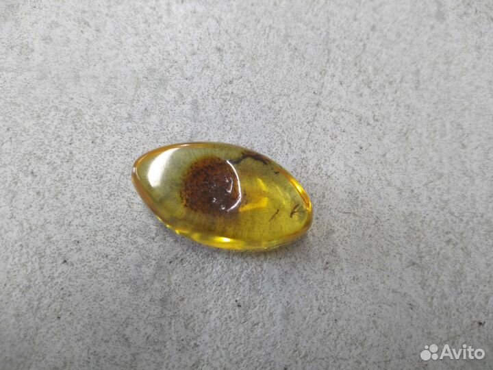 Инклюзы янтарь