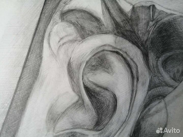 Академический рисунок А2. Гипсовая голова, натура