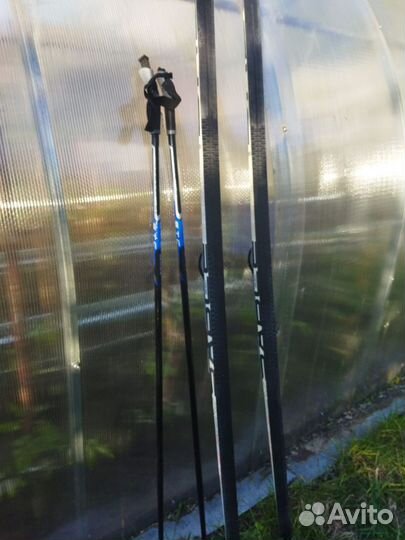 Беговые лыжи