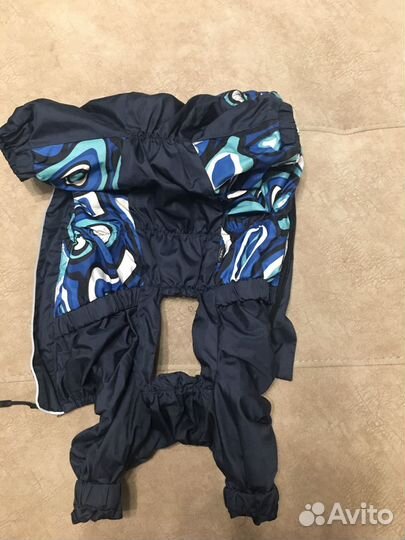 Одежда для собак