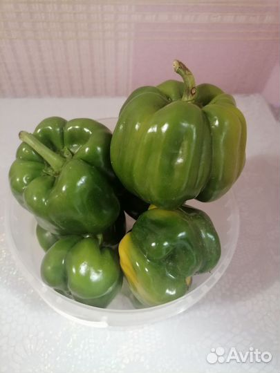 Продам перец