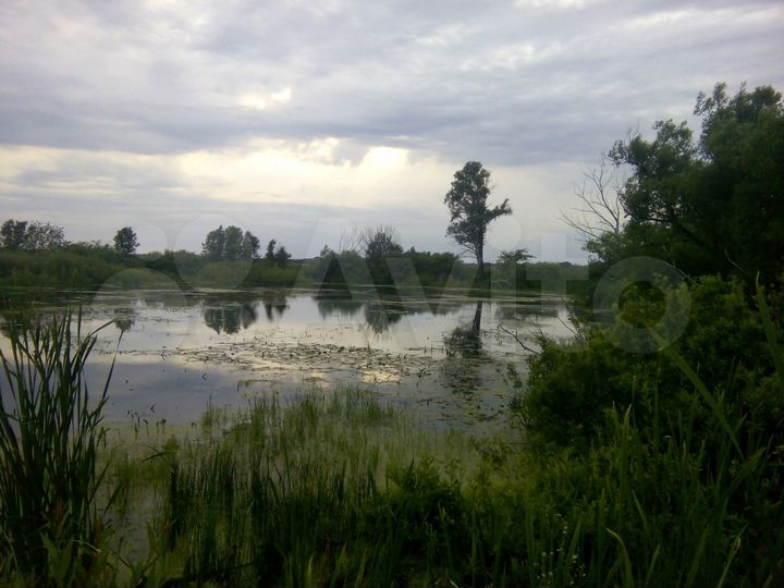 Участок 28 га (СНТ, ДНП)