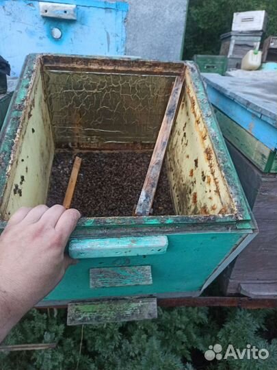 Продам ульи для пчел
