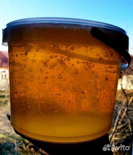 Лавандовый мёд