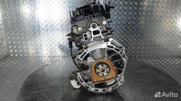 Двигатель qqdb Ford Focus 2 (2004-2011)