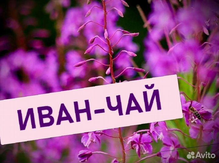 Иван-чай килограмм, полезный чай, урожай 2023