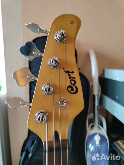 Обменяю Cort gb pj