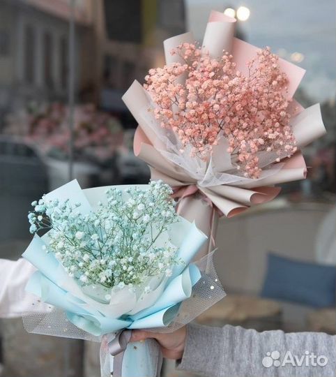 Гипсофила разных цветов