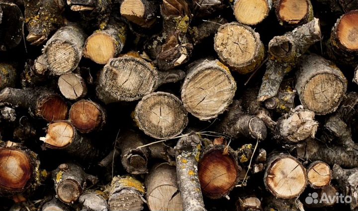 Дрова превосходного качества