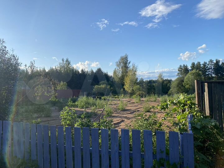 Участок 50 сот. (ИЖС)