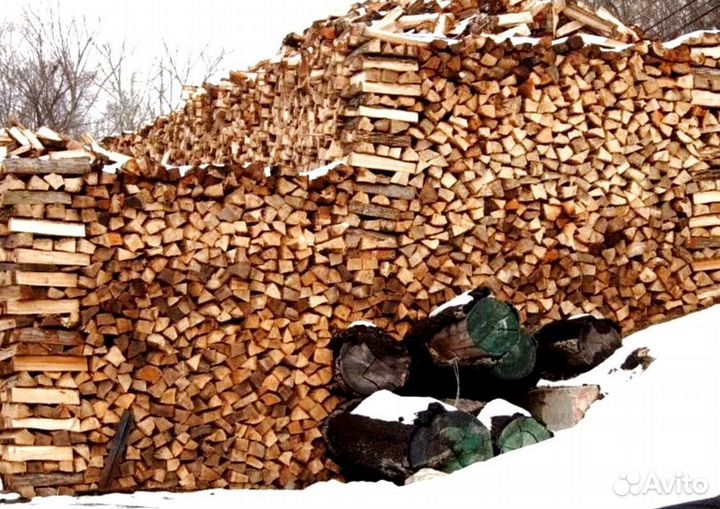 Дрова березовые