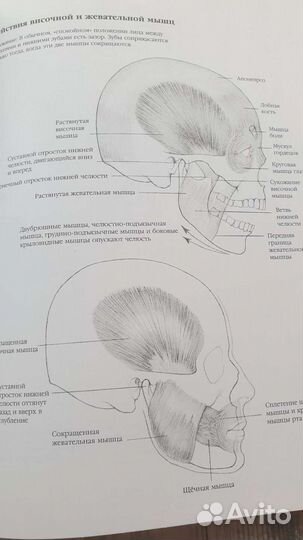 Книга техника рисования