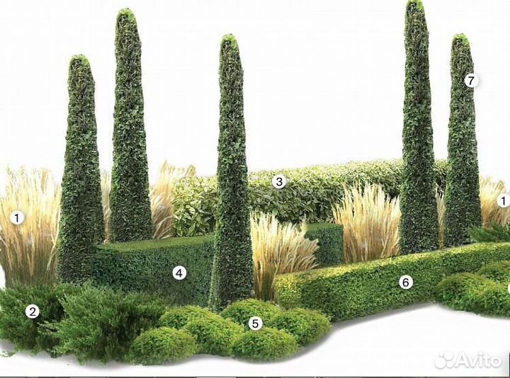 Готовая ландшафтная композиция