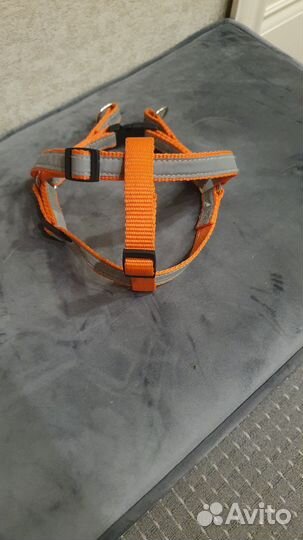 Шлейка для собаки