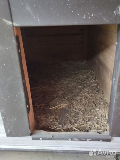 Вольер для собак с будкой