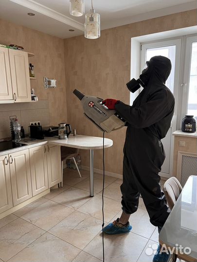 Обработка от тараканов и клопов, уничтожение