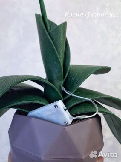 Орхидея с подсветкой