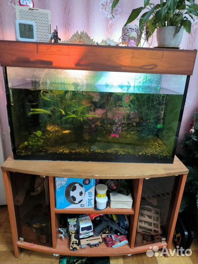 Аквариум