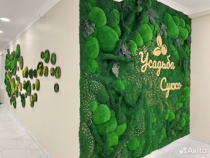 Мох. Фитостена. Озеленение. Декор ресторана