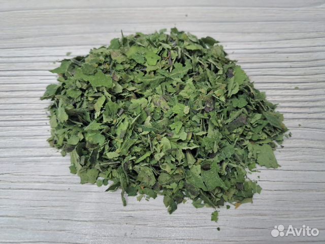 Калея мексиканская (Калея закатечичи) листья купить в Омске | Товары ...