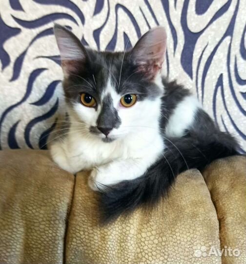 Очаровательная Снежана ищет любящую семью